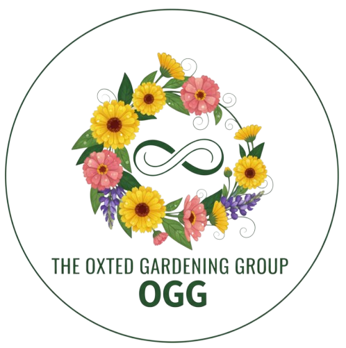 OGG Logo